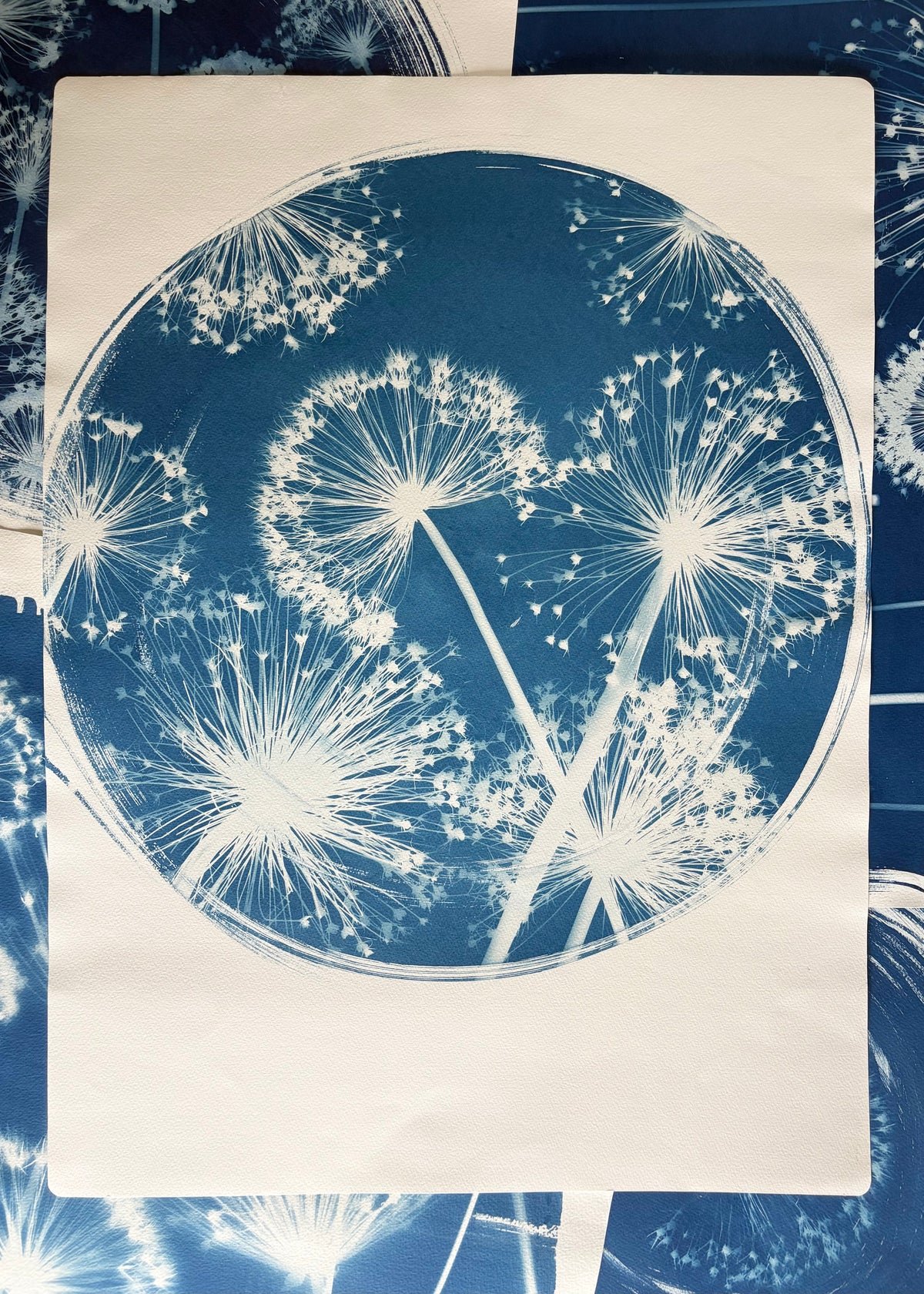All the Alliums in a Round (22x30") Original Print - SALE