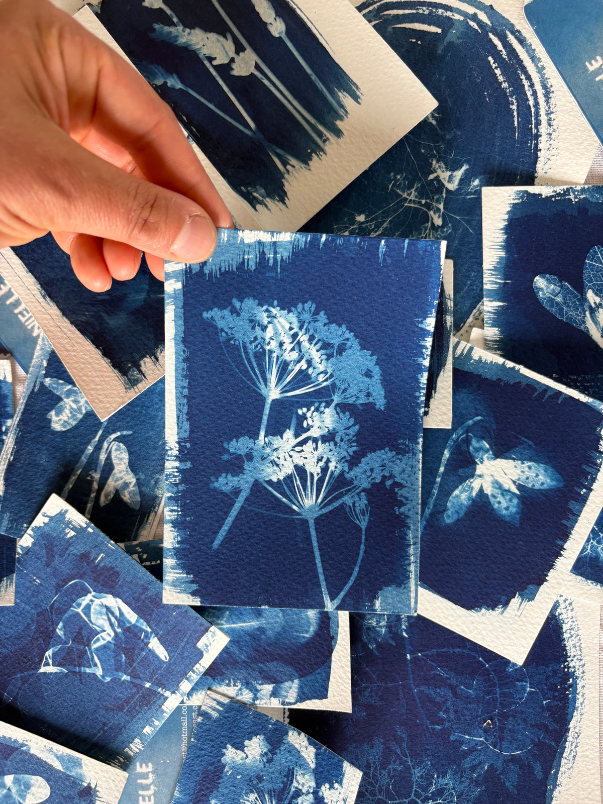 Feathers & Fennel Double Exposure 14x9.5cm - Original Print  - SALE