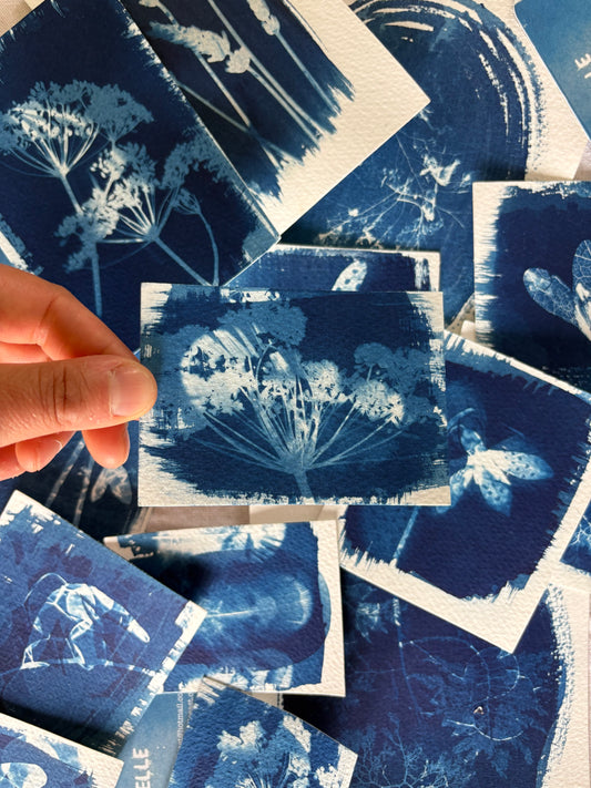 Feathers & Fennel Double Exposure 7x9.5cm - Original Print  - SALE