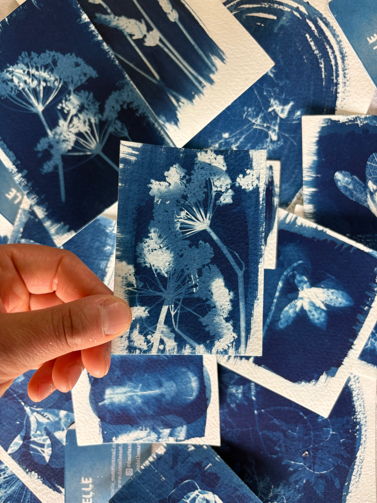 Feathers & Fennel Double Exposure 7x9.5cm - Original Print  - SALE