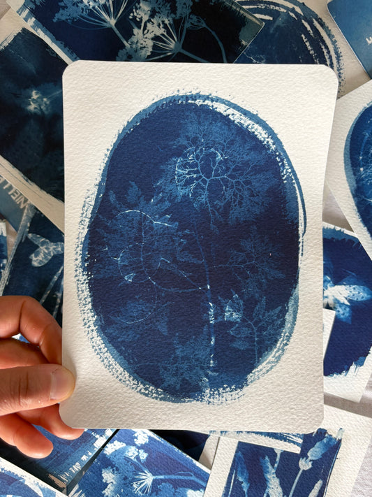 Seaweed & Honesty Double Exposure 14x19cm - Original Print  - SALE
