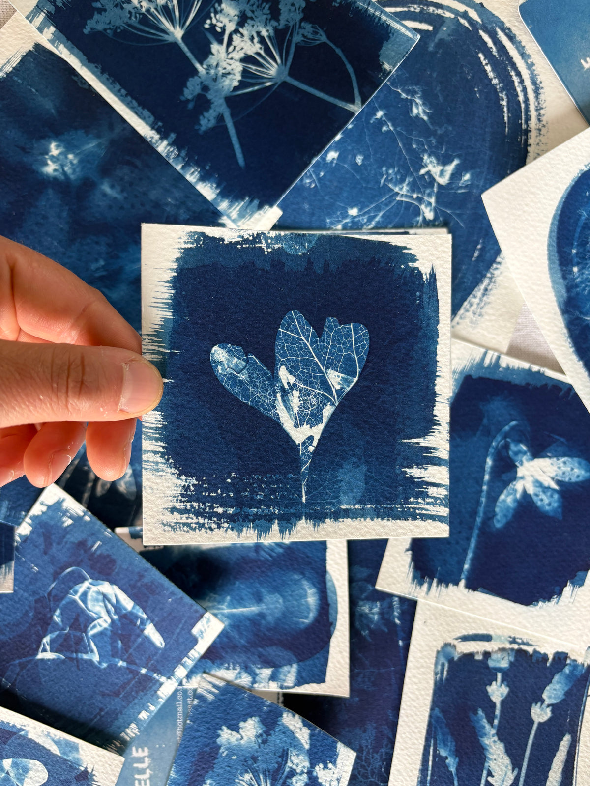 Crocus and Leaf Skeletons Double Exposure 9x10cm - Original Print  - SALE