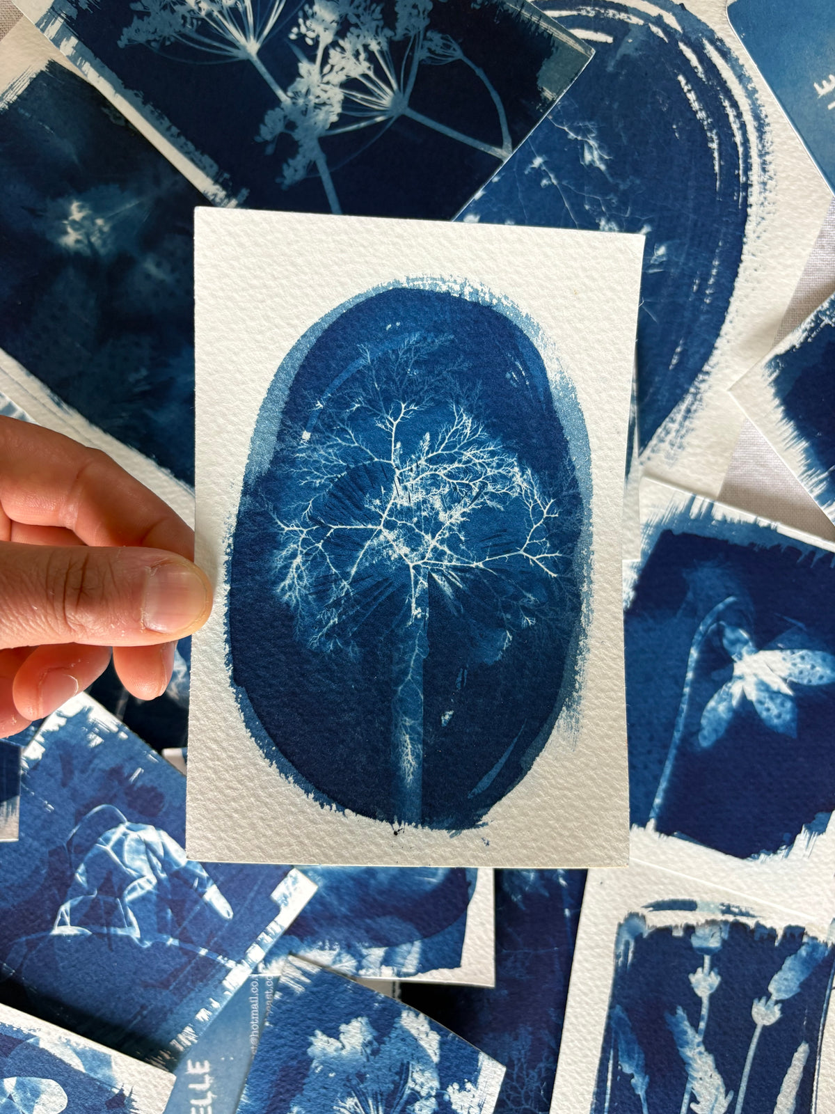 Seaweed&Allium Double Exposure 14x9.5cm - Original Print  - SALE