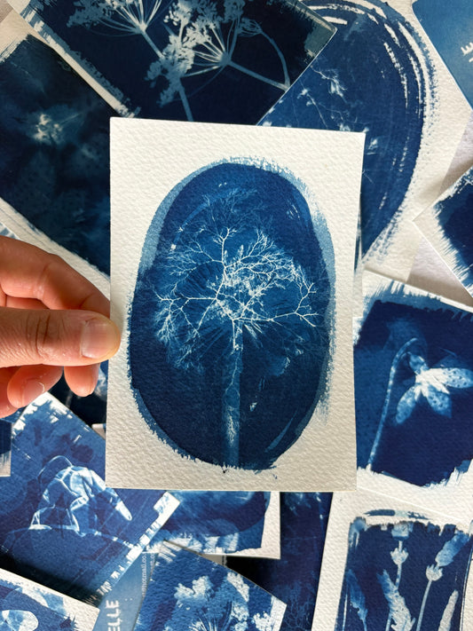 Seaweed&Allium Double Exposure 14x9.5cm - Original Print  - SALE