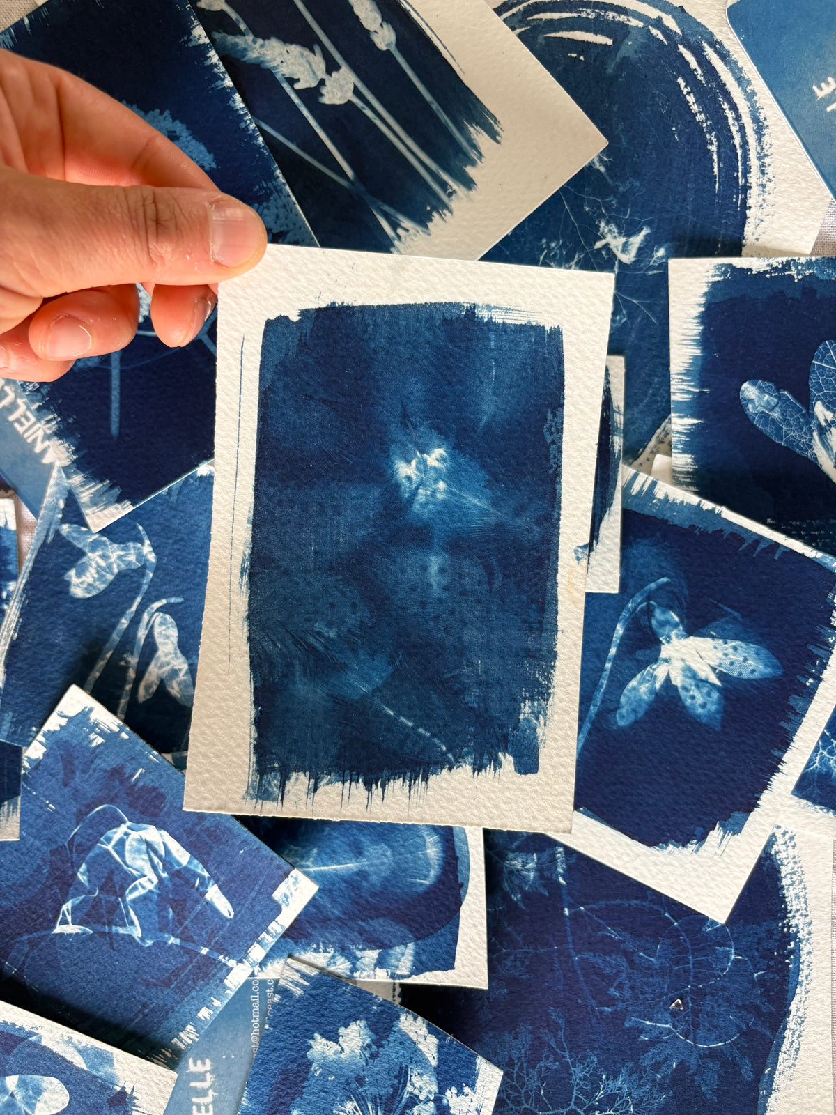 Double Feathers Double Exposure 14x9.5cm - Original Print  - SALE