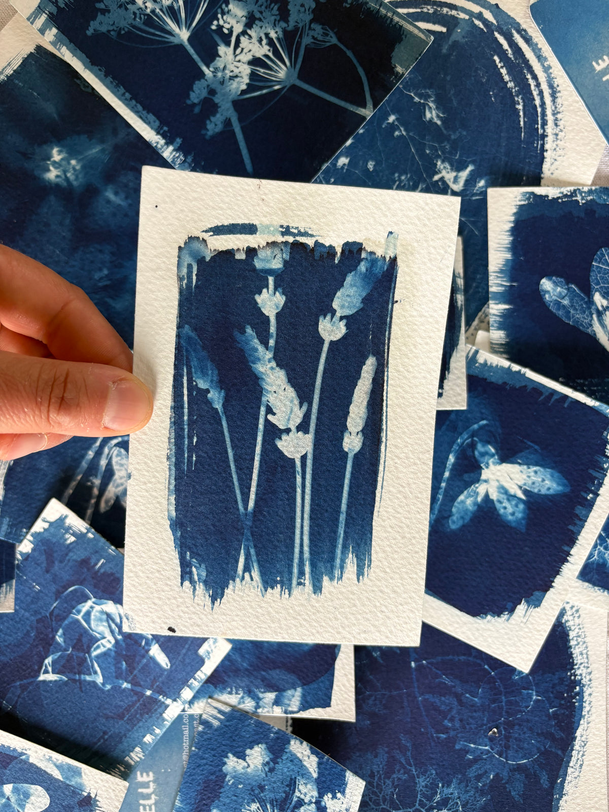 Feathers & Lavender Double Exposure 14x9.5cm - Original Print  - SALE