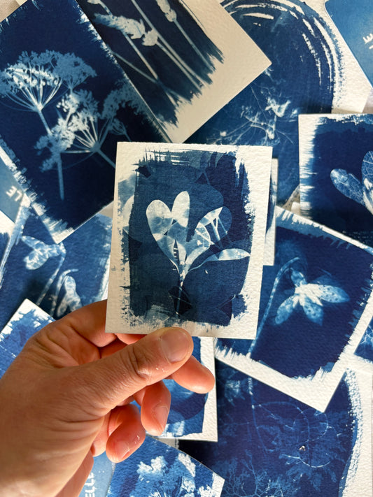 Honesty&Crocus Double Exposure 7x9.5cm - Original Print  - SALE