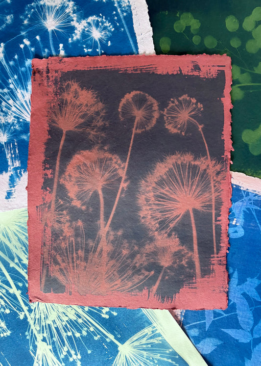 Red Alliums (40x52cm) Original Print - SALE