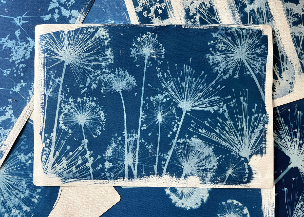 Allium Stems (15x22") Original Print - SALE