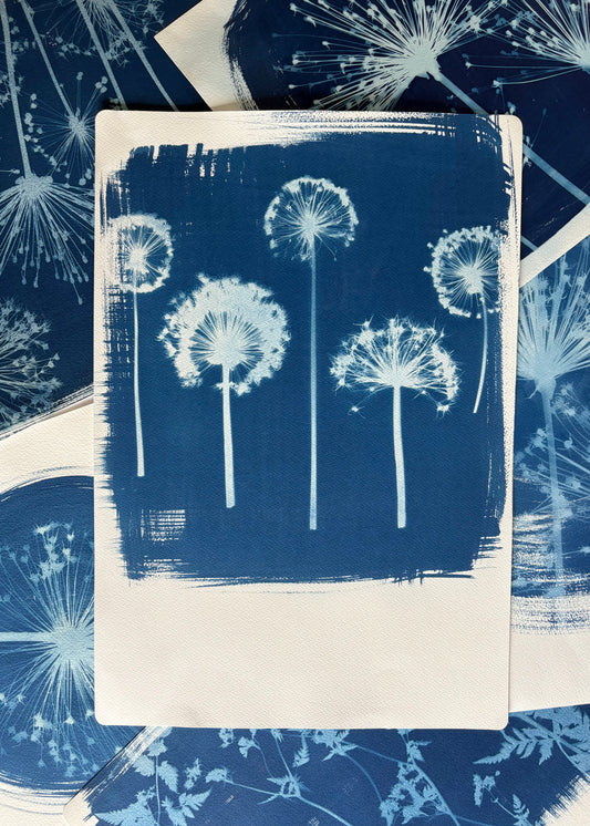 Polaroid Allium line up (15x22") Original Print - SALE