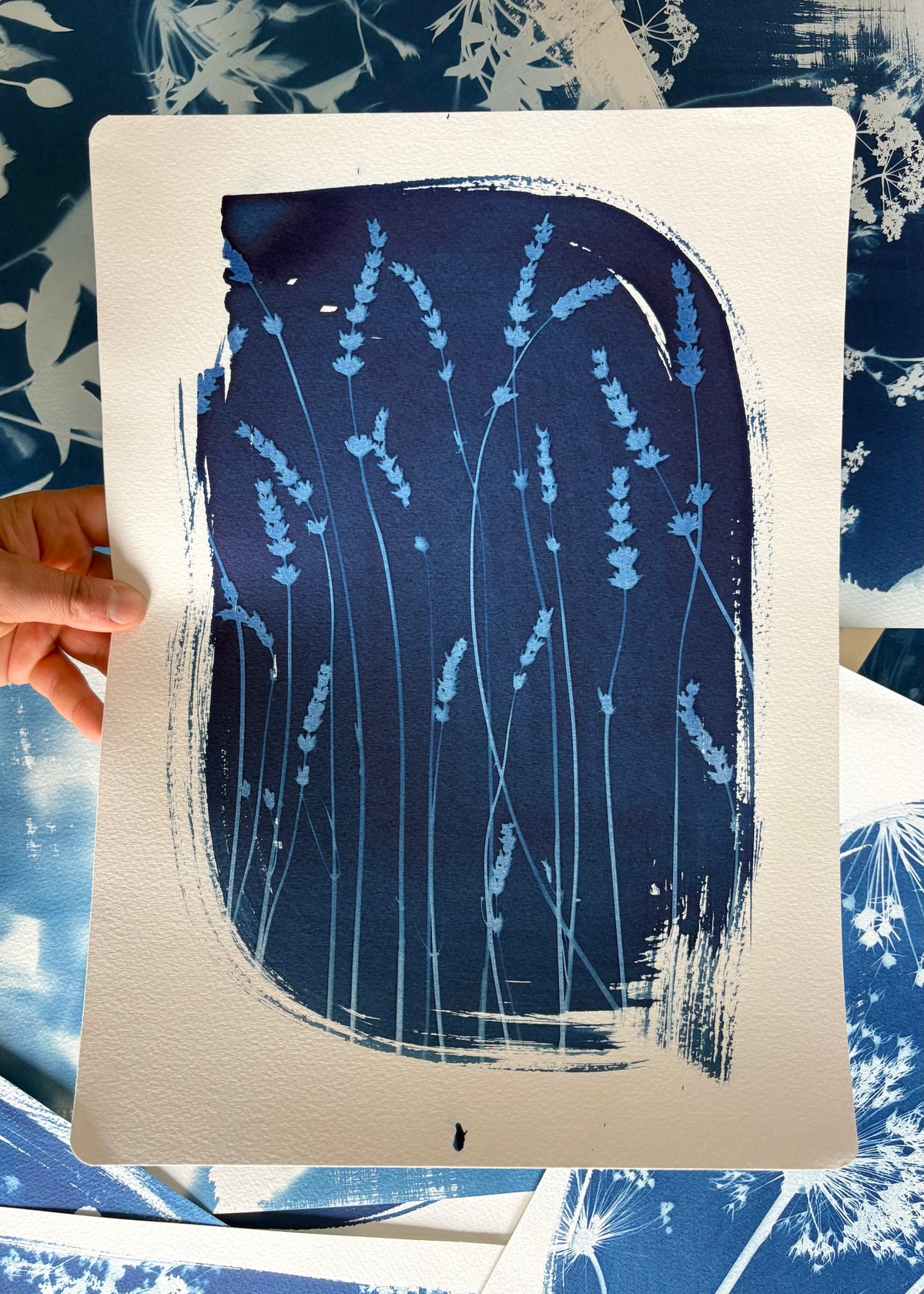Blue Lavender 11x15" (approx) Original Print SALE
