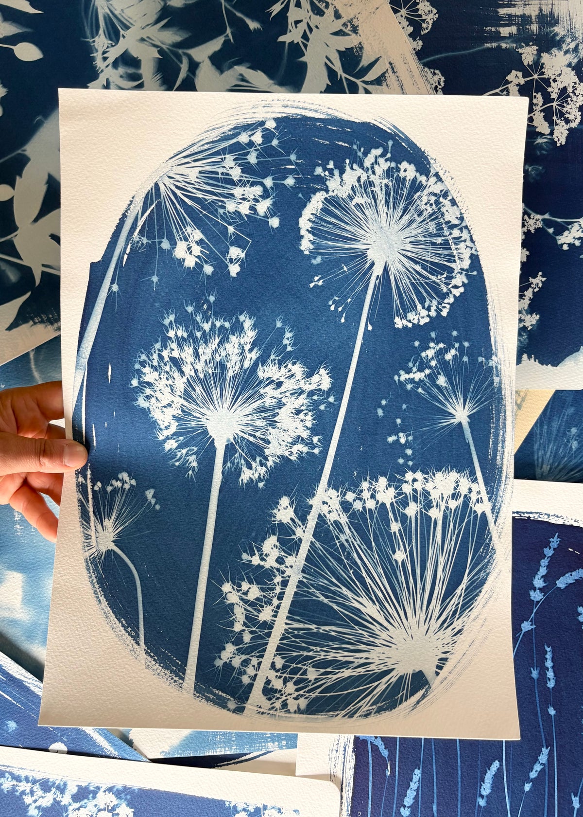 Allium Oval 11x15" (approx) Original Print SALE