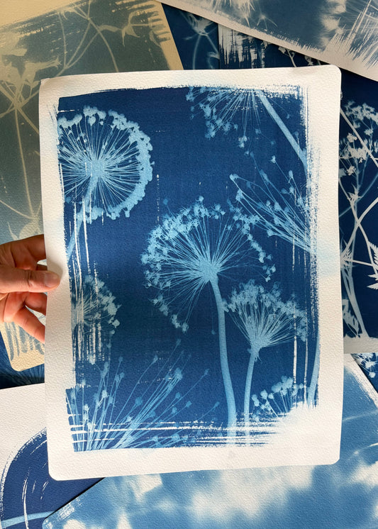 Alliums 11x15" (approx) Original Print SALE
