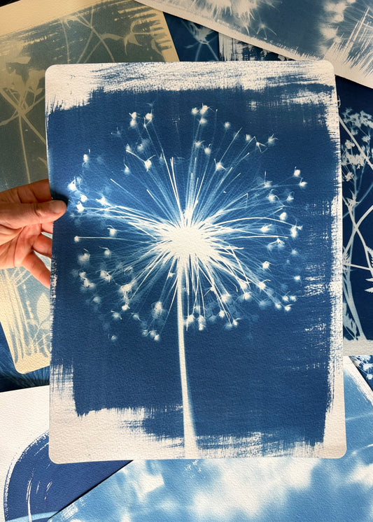 Allium Stem 11x15" (approx) Original Print SALE