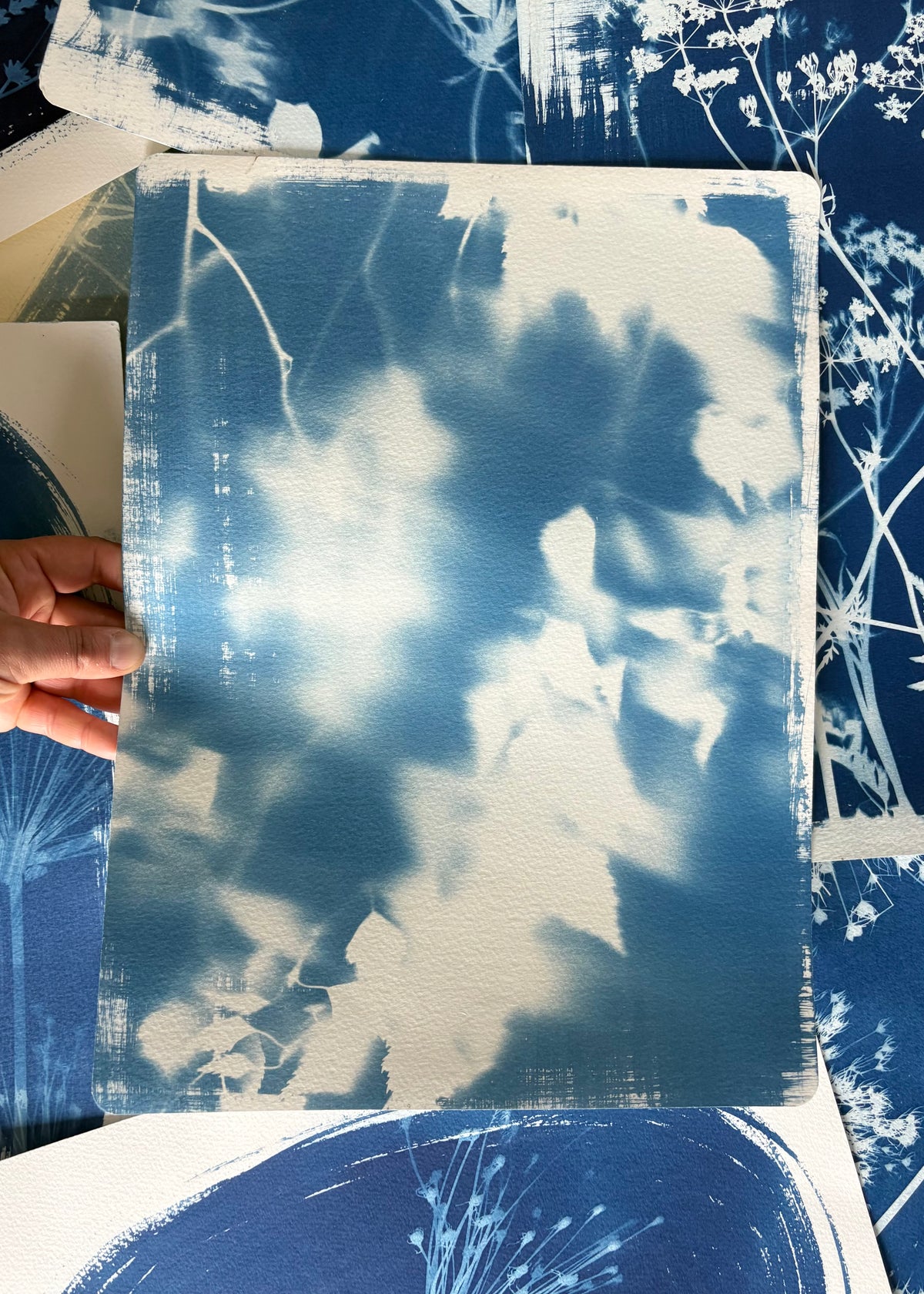Birch Blur 11x15" (approx) Original Print SALE
