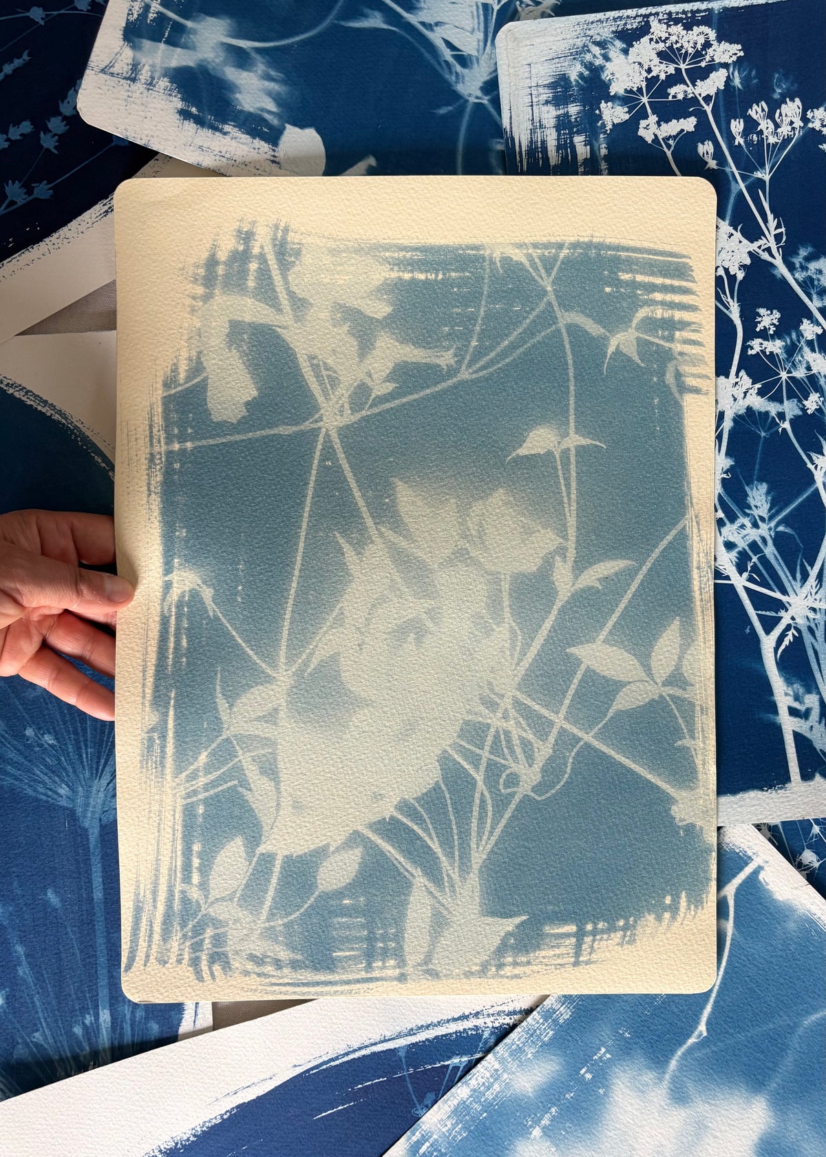 Clematis - peachy paper 11x15" (approx) Original Print SALE