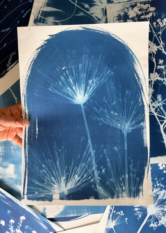 Spiders 11x15" (approx) Original Print SALE