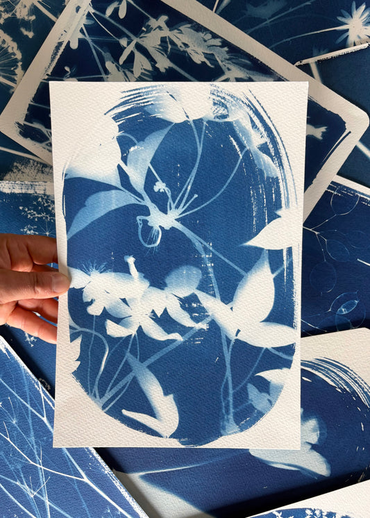 Clematis Oval - dried  28x19cm (approx) Original Print SALE