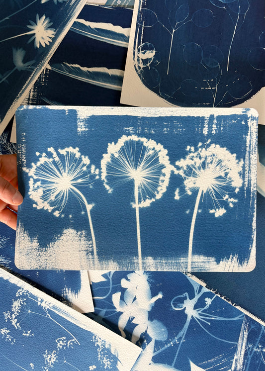 3 Alliums 28x19cm (approx) Original Print SALE