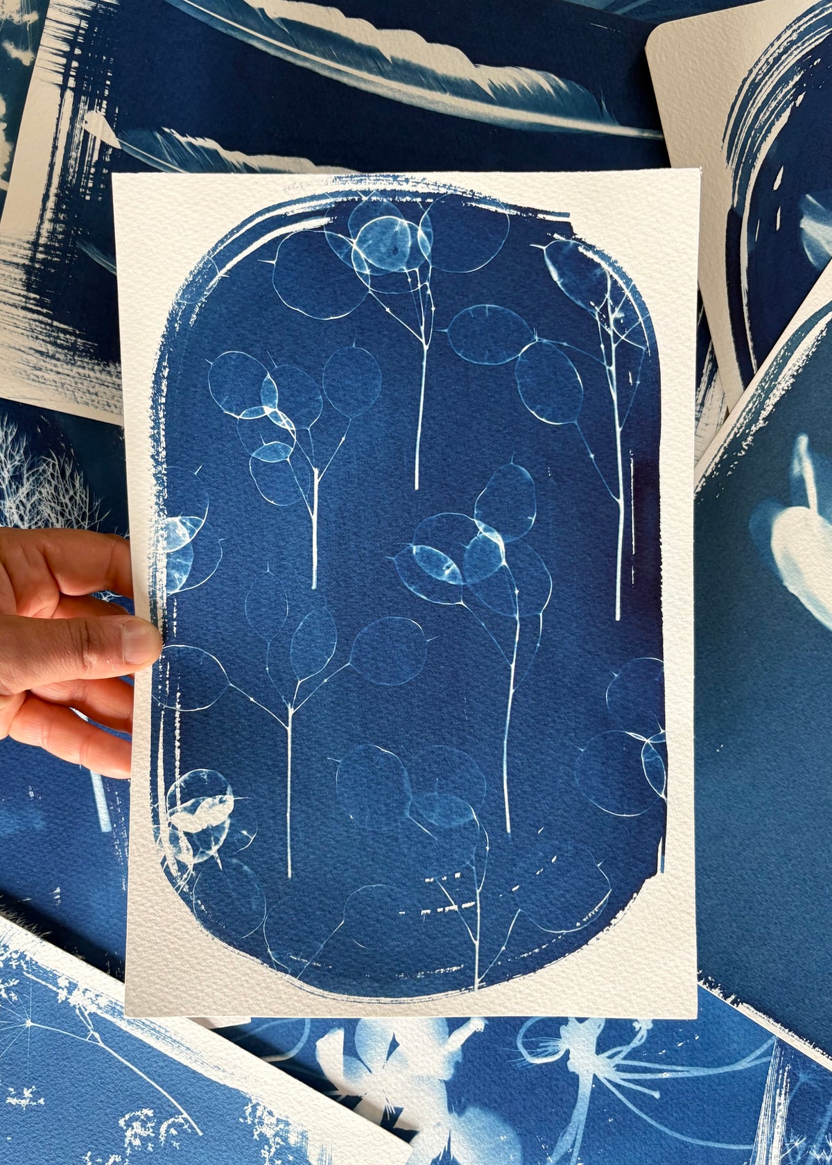 Honesty Oval 28x19cm (approx) Original Print SALE