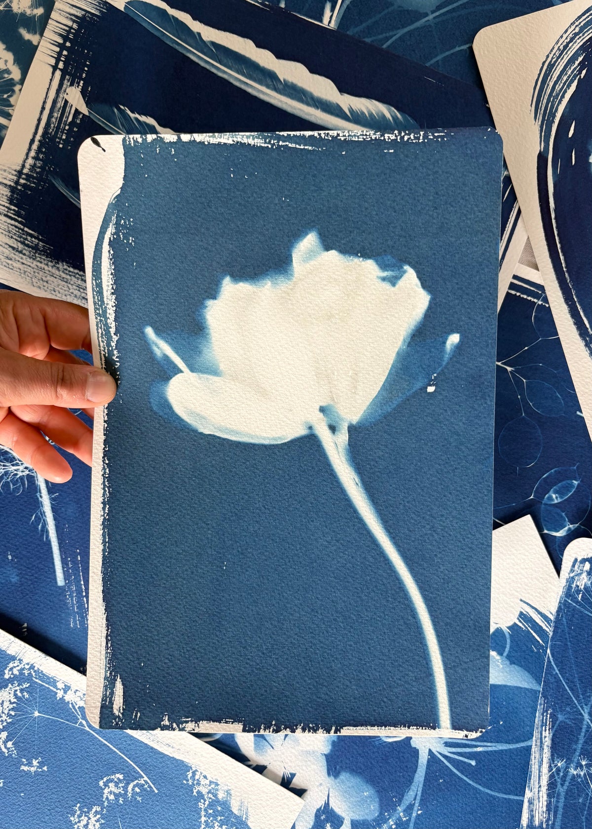 Tulip 28x19cm (approx) Original Print SALE