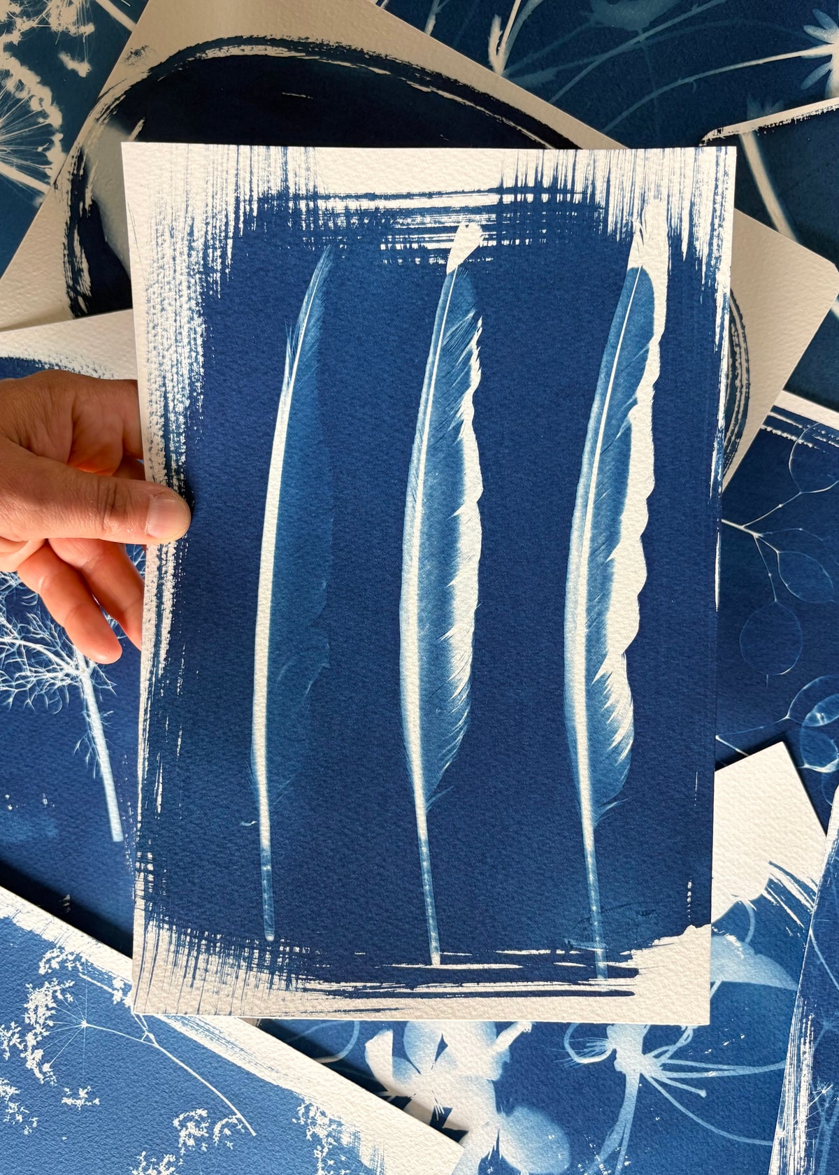 3 feathers 28x19cm (approx) Original Print SALE