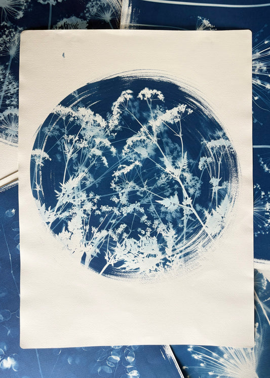 Cow Parsley in a Round (22x30") Original Print - SALE