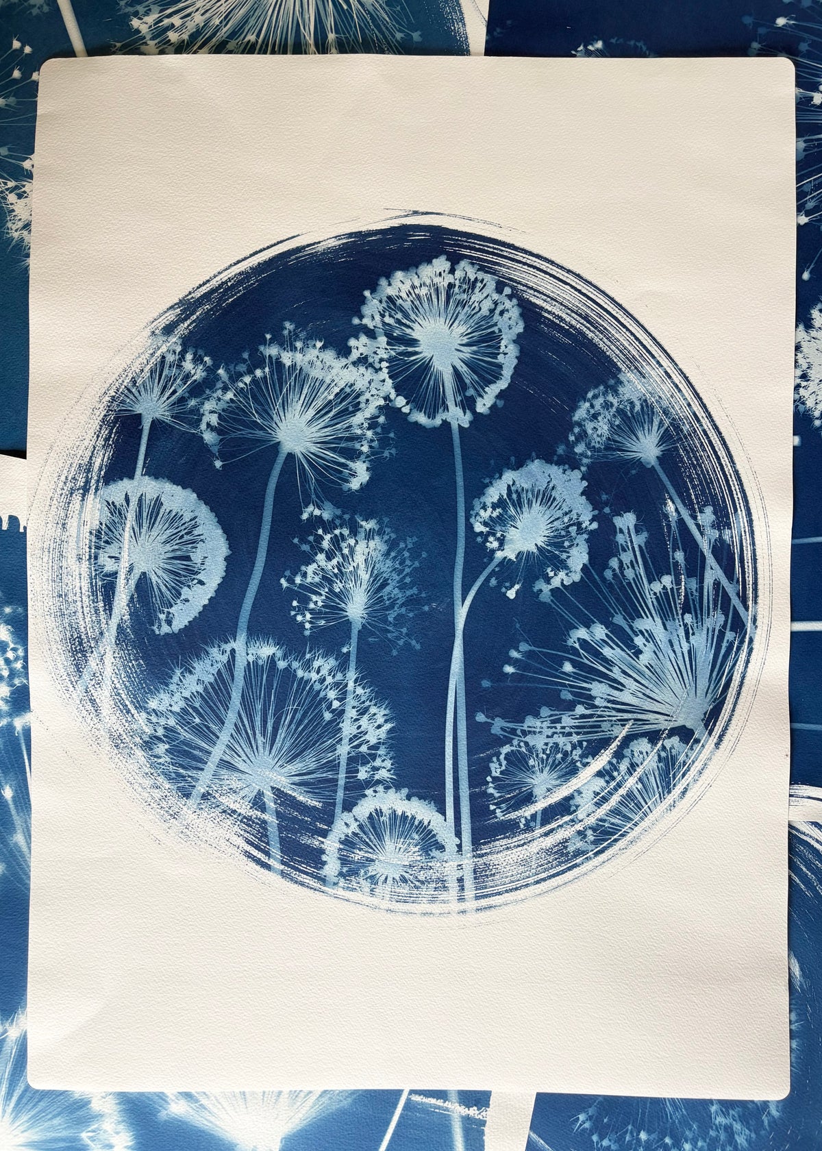 Alliums in Round ii (22x30") Original Print - SALE