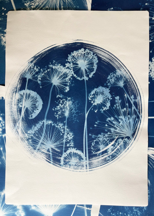 Alliums in Round ii (22x30") Original Print - SALE