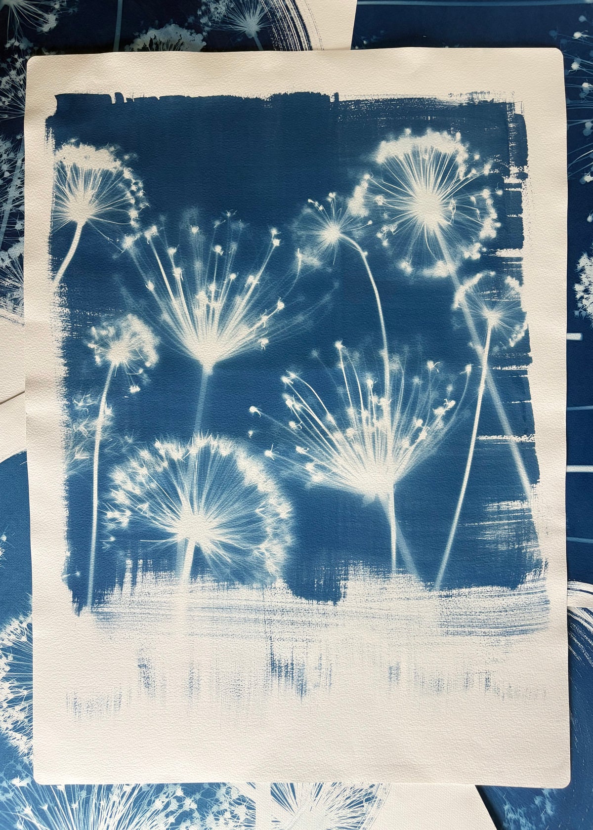 Alliums in Polaroid (22x30") Original Print - SALE