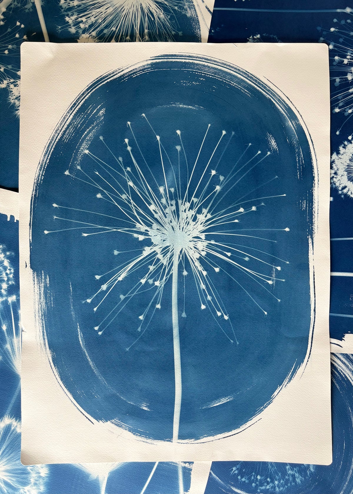 Schurbertii Oval (22x30") Original Print - SALE