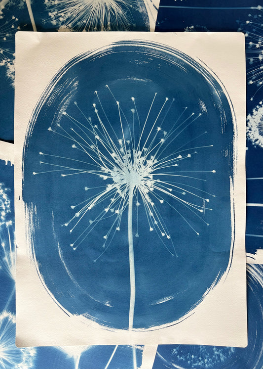 Schurbertii Oval (22x30") Original Print - SALE