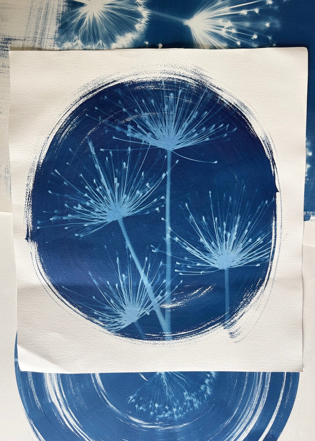 Spider in a round (21x22.5") Original Print - SALE