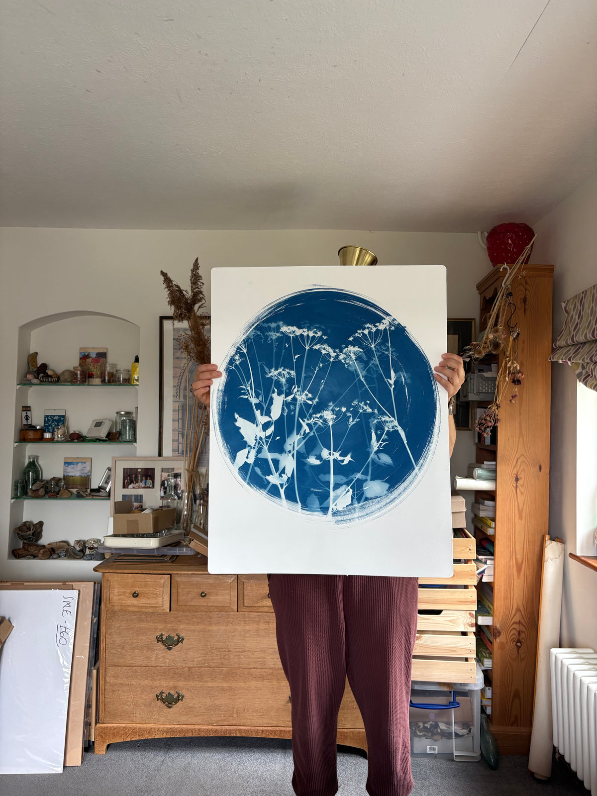 Unknown Umbellifer Round (22x30") Original Print - SALE