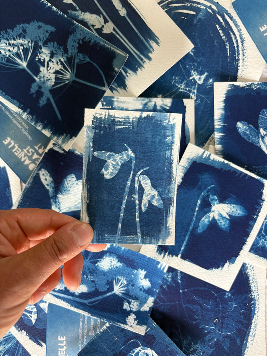 Snow Drop & Dandelion Kittens Double Exposure 7x9.5cm - Original Print  - SALE