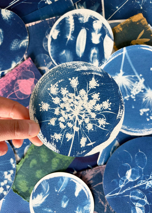 Umbellifer round Diameter 11cm - Original Print  - SALE