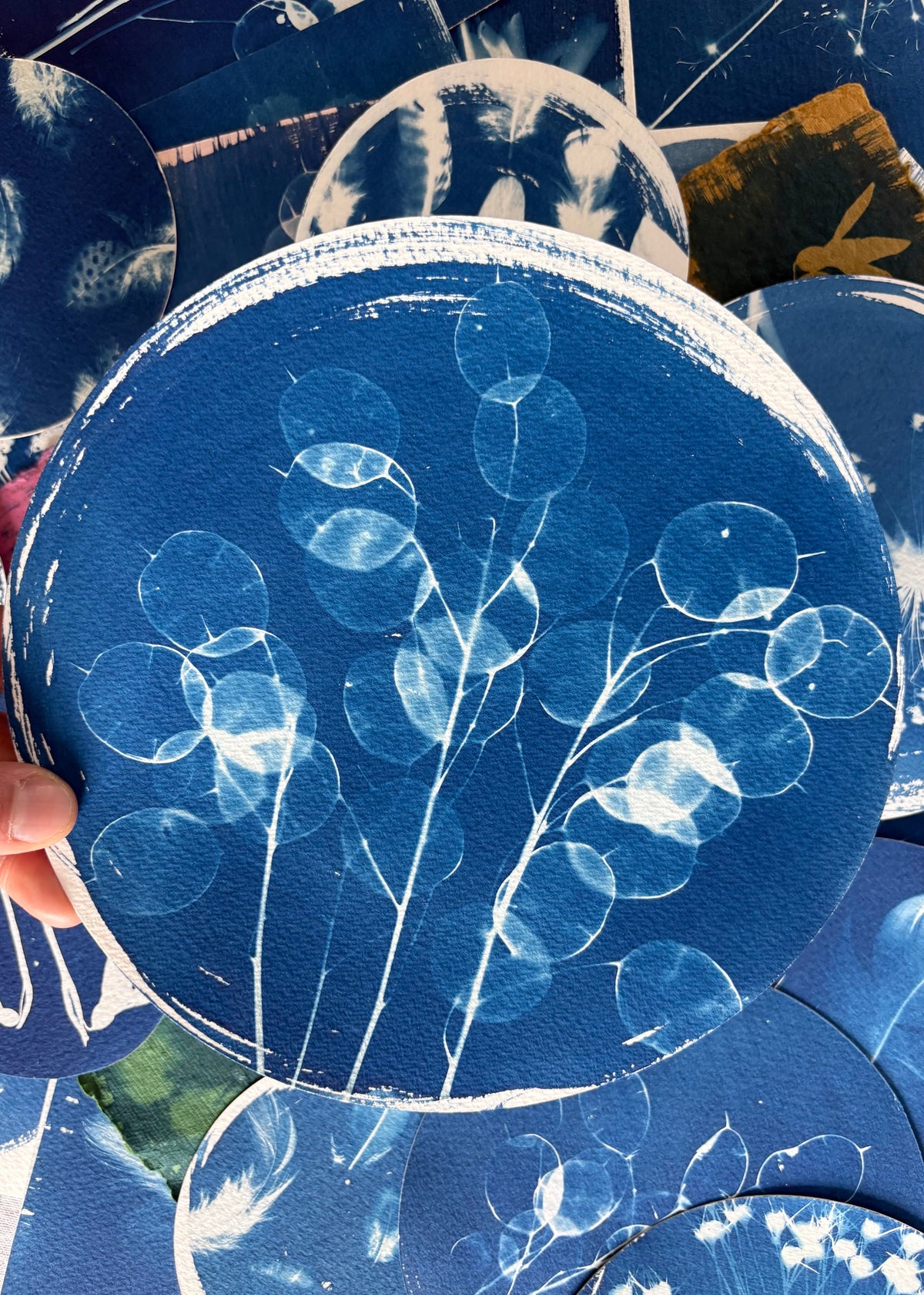 Honesty round Diameter 21cm - Original Print  - SALE