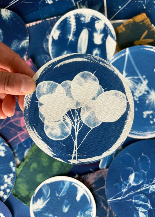 Honesty round Diameter 11cm - Original Print  - SALE