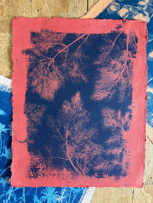 Red Fennel Leaves (40x52cm) Original Print