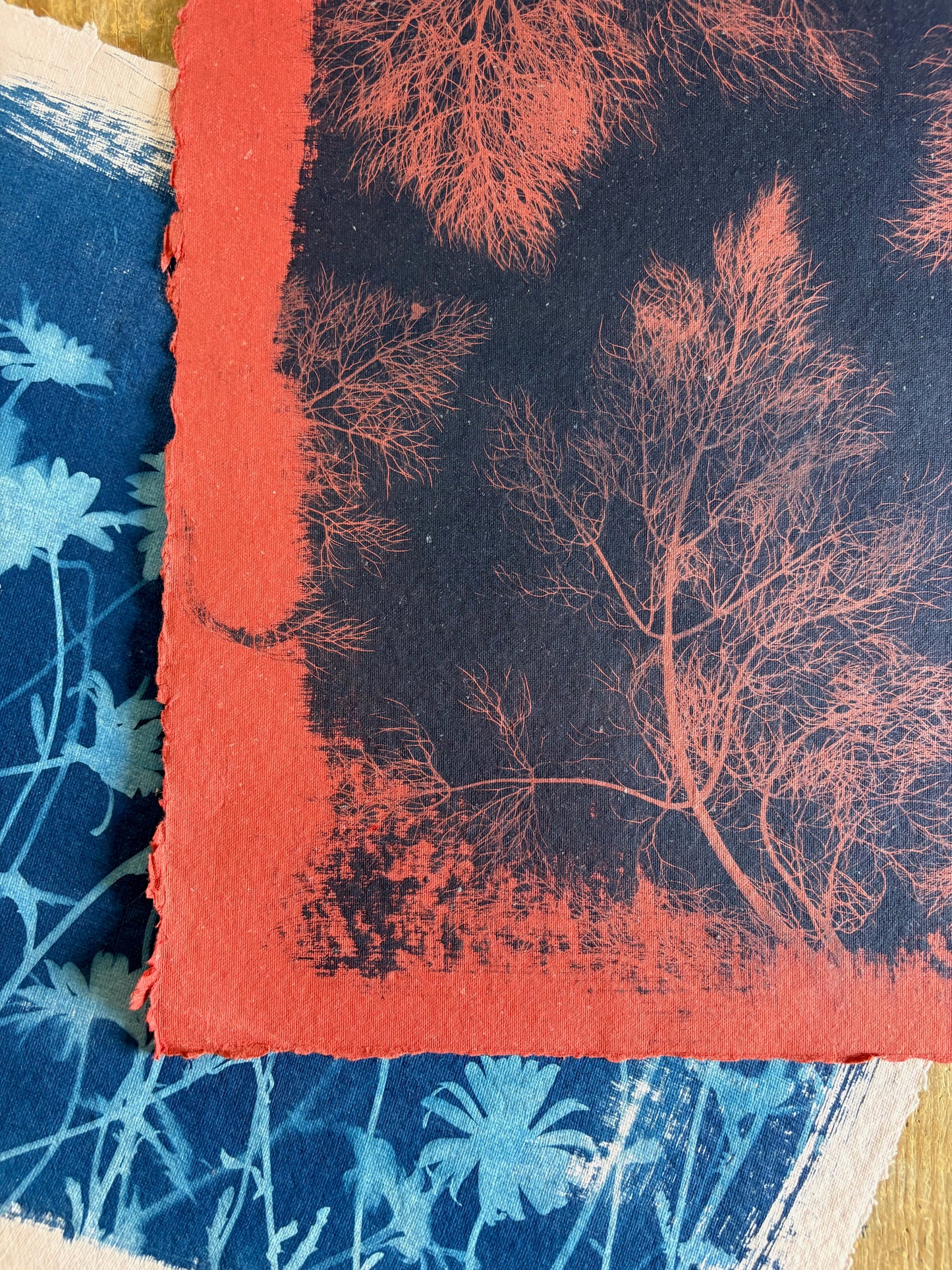 Red Fennel Leaves (40x52cm) Original Print