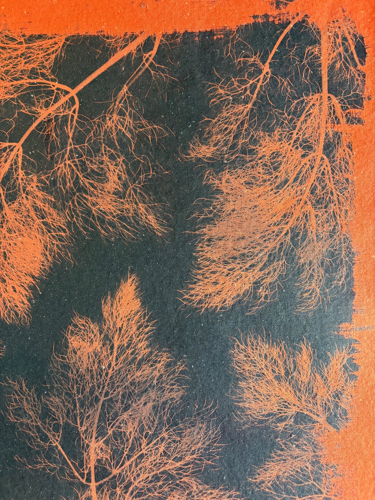 Red Fennel Leaves (40x52cm) Original Print