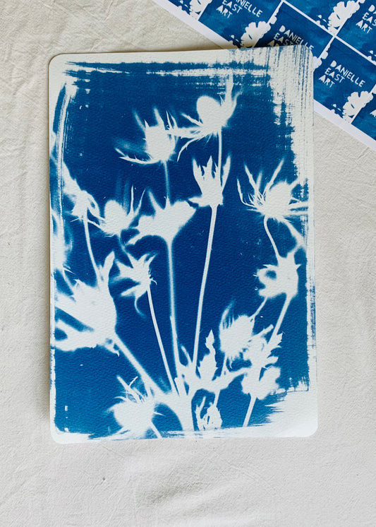 Sea Holly 19x28cm - Original Print