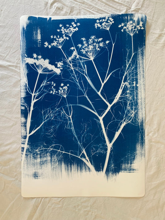 Single Fennel Layer (22x15") Original Print