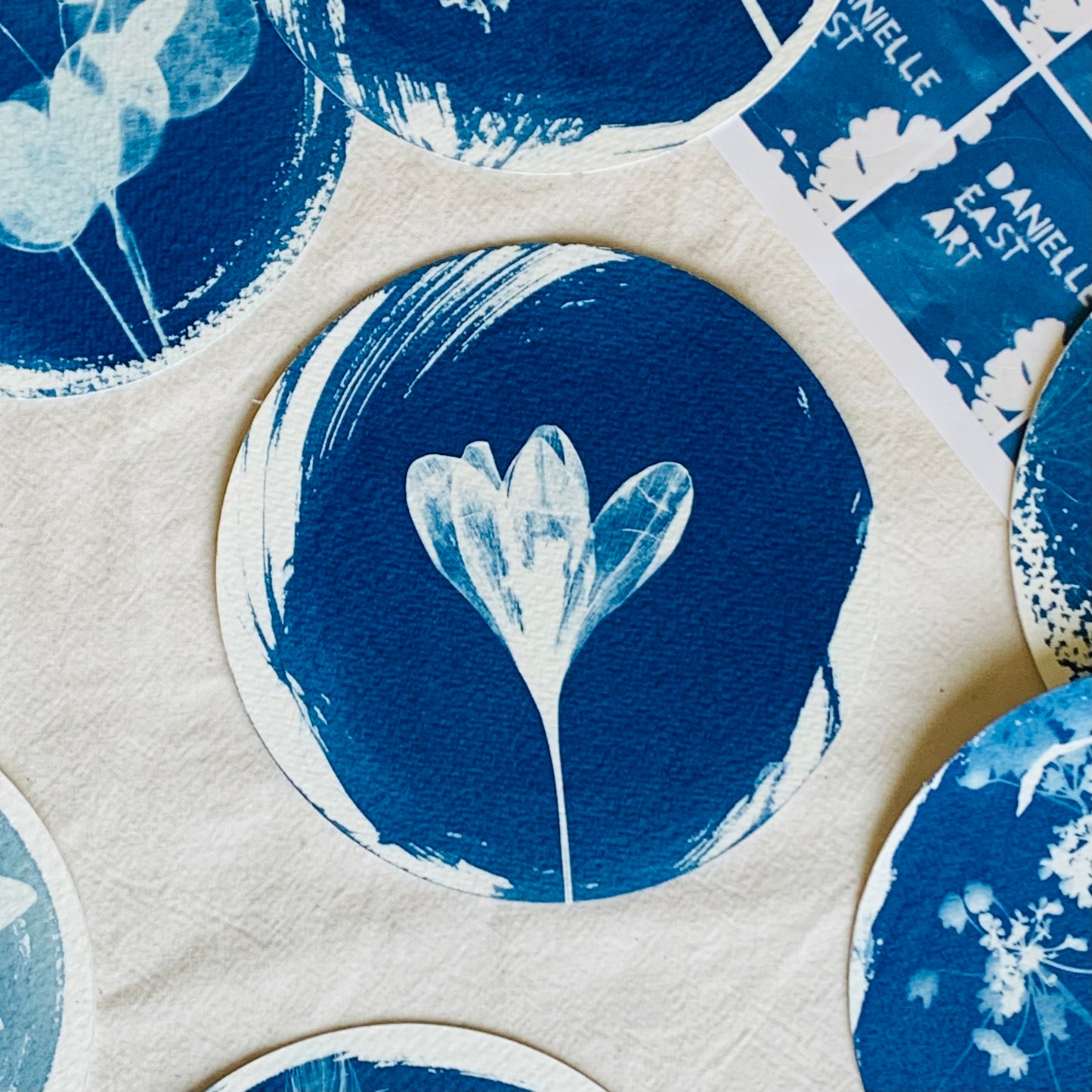 Crocus - Brass Framed Circle Cyanotype - 12cm Diameter