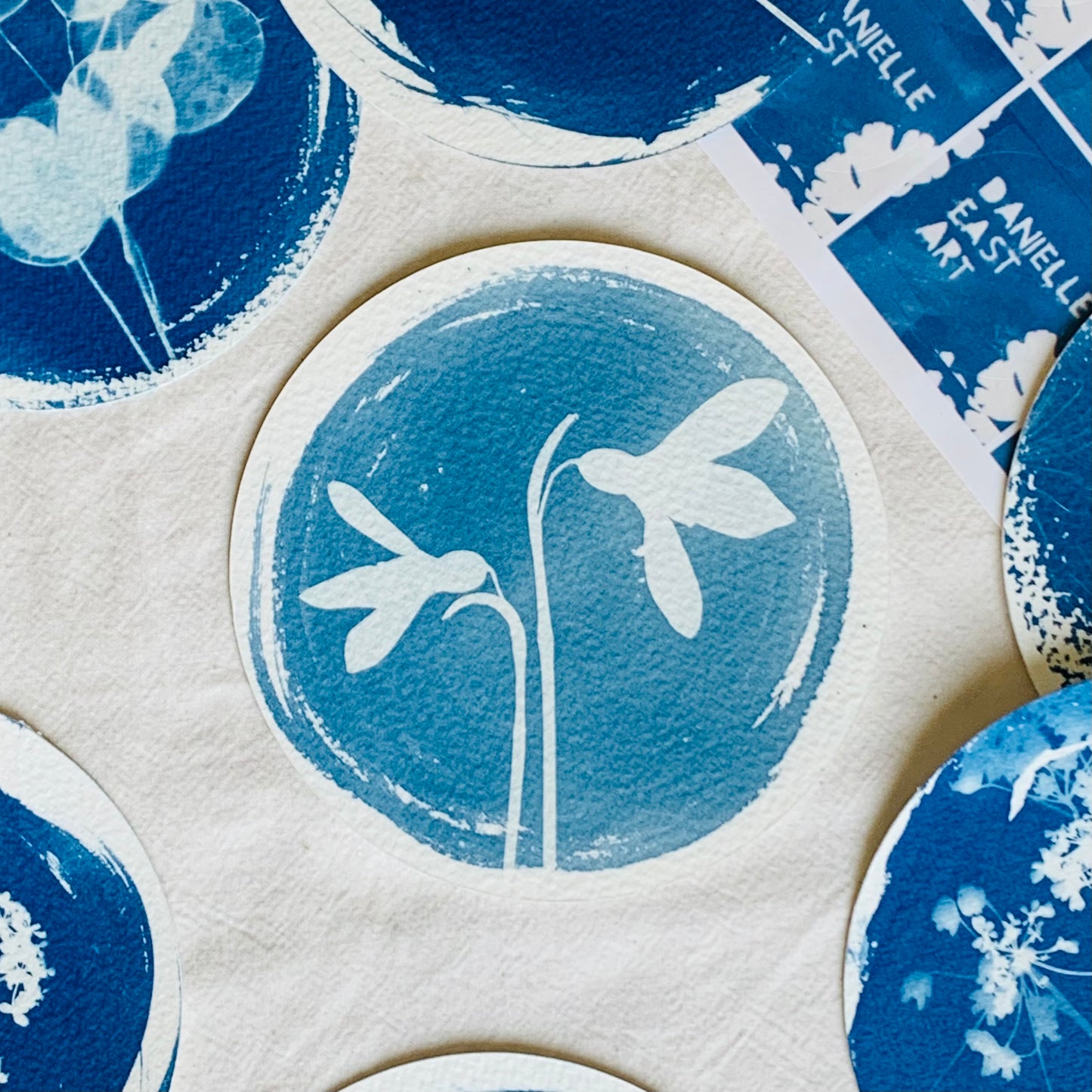 Snow Drop Duo - Brass Framed Circle Cyanotype - 12cm Diameter