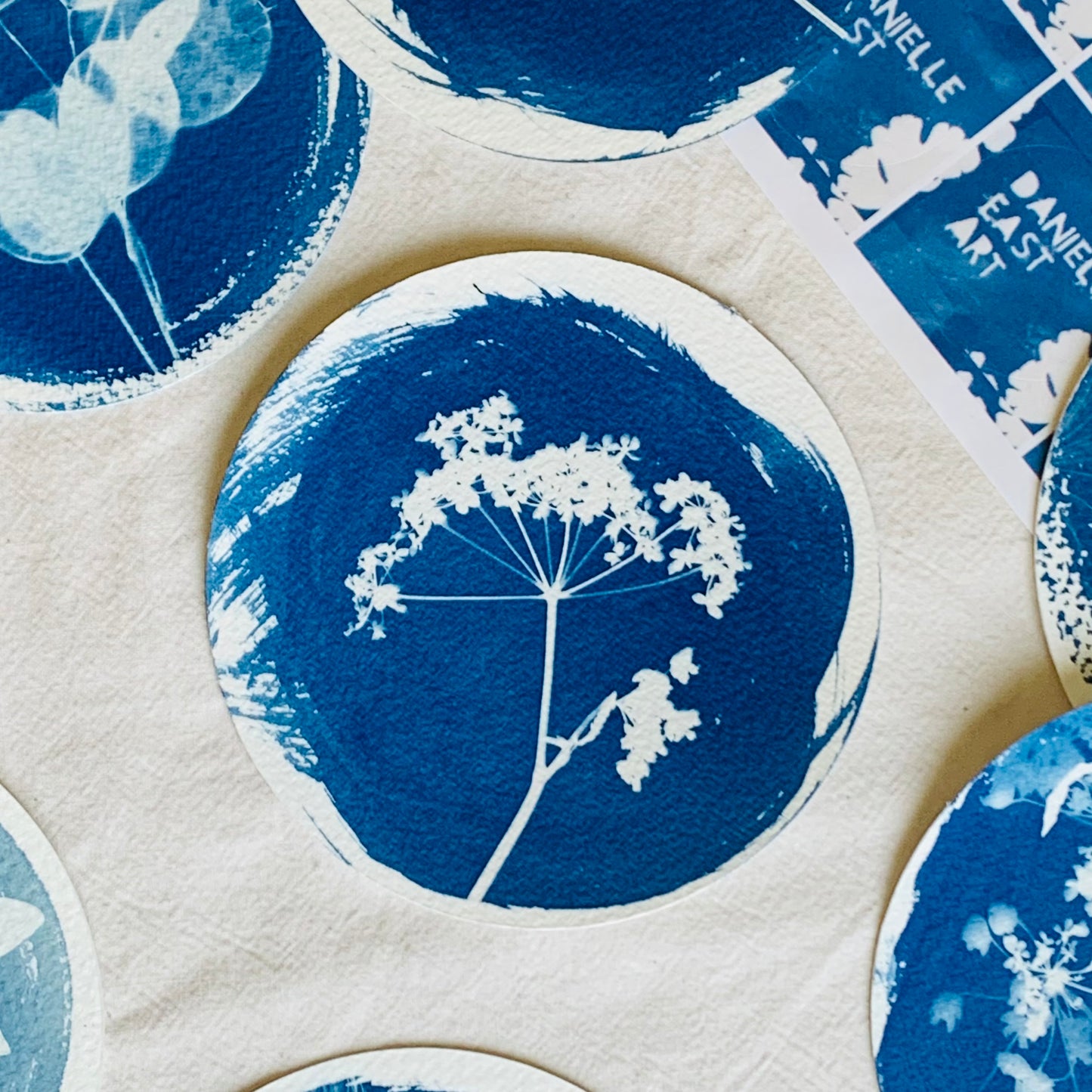 Parsley - Brass Framed Circle Cyanotype - 12cm Diameter