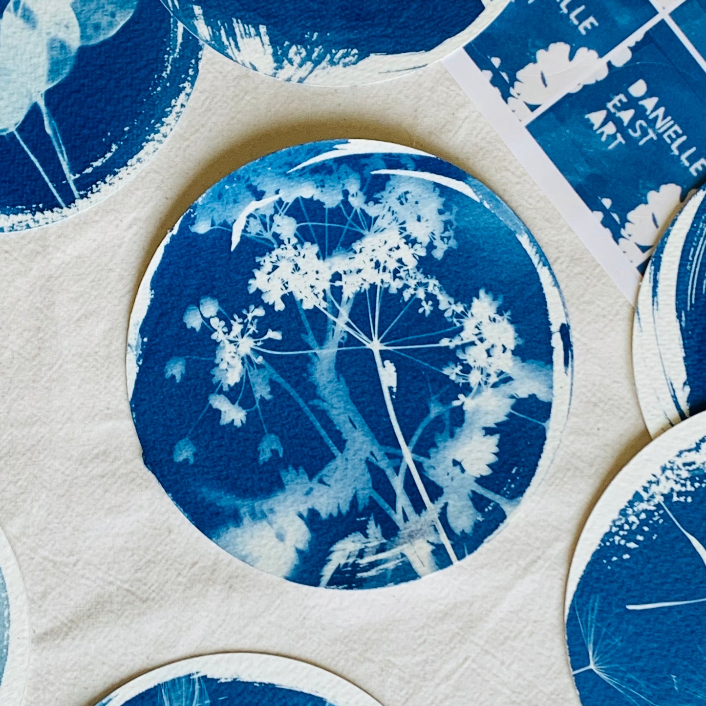 Cow Parsley - Brass Framed Circle Cyanotype - 12cm Diameter