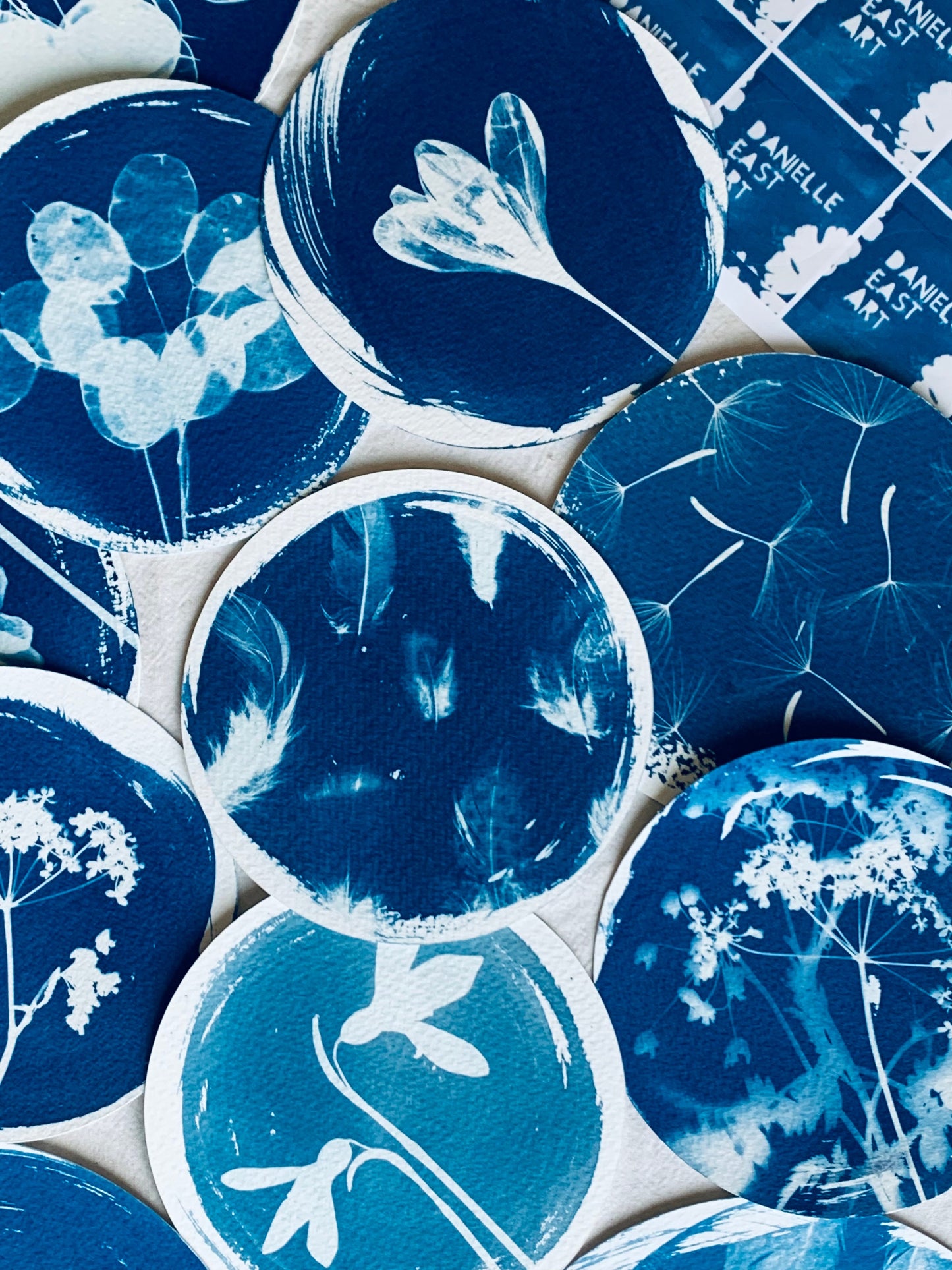 feathers - Brass Framed Circle Cyanotype - 12cm Diameter