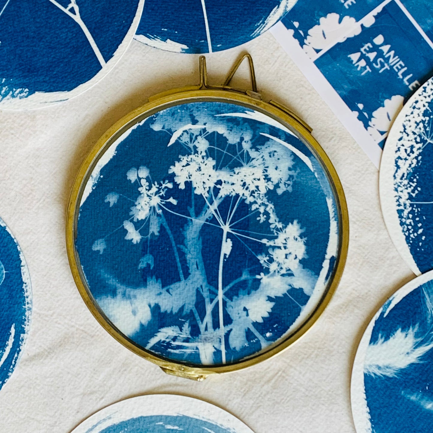 Cow Parsley - Brass Framed Circle Cyanotype - 12cm Diameter