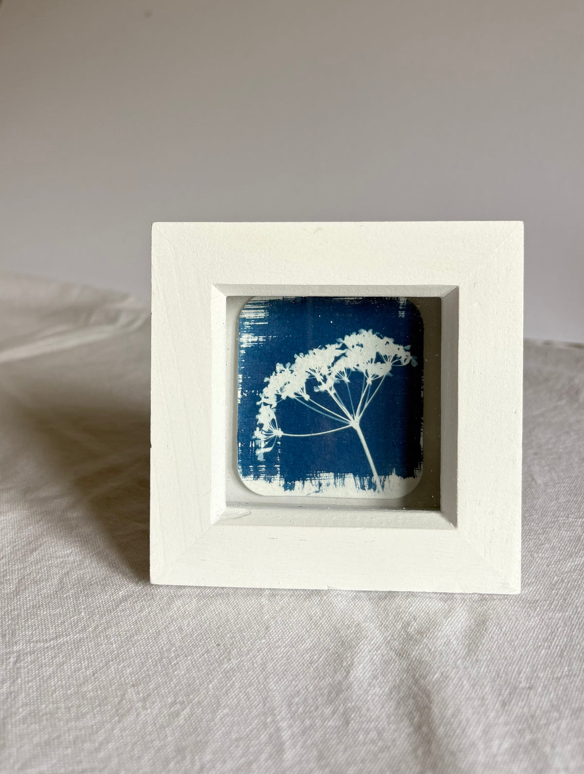 Cow Parsley white square glass box frame - SALE